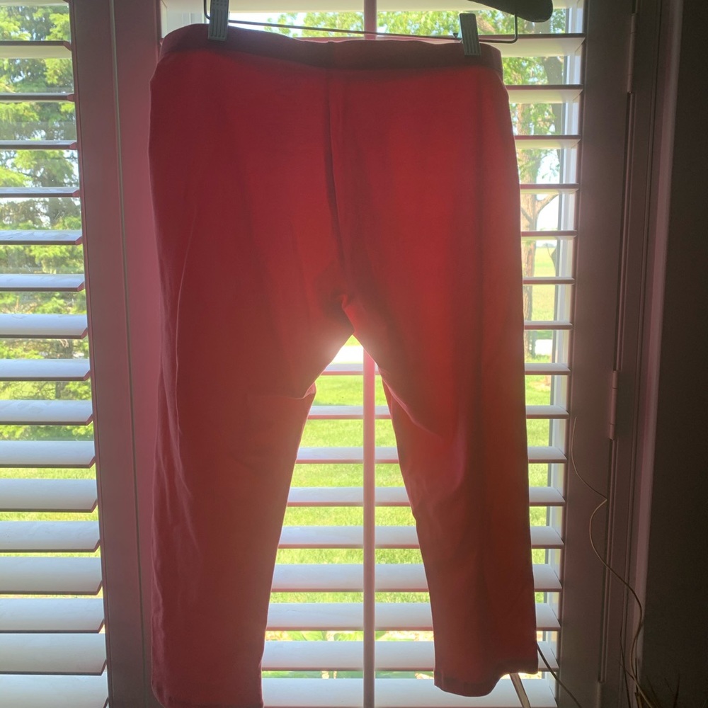 Capris - Picture 3 of 3